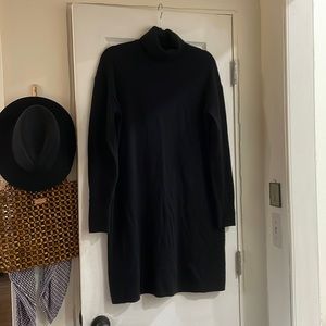 Everlane Cashmere Turtleneck Dress